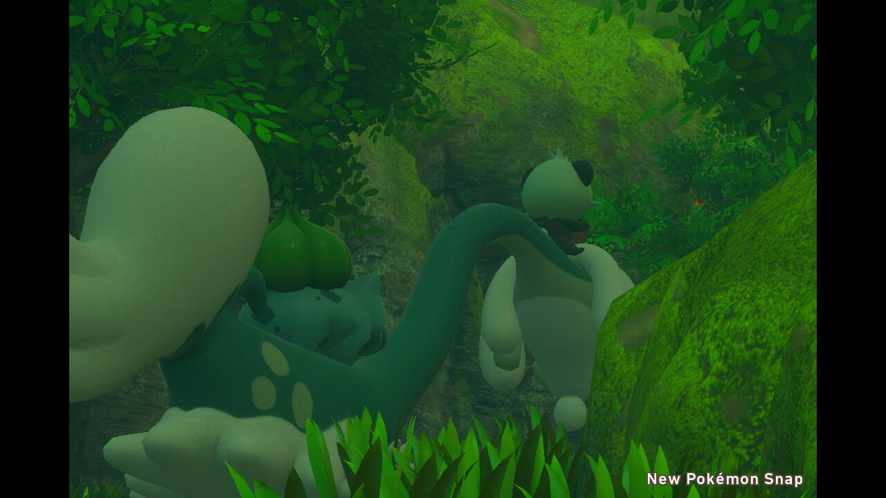 New ポケモンスナップ キュウコン ヤンチャム フシギダネ フシギバナ ねこじゃらし New ポケモンスナップ キュウコン ヤンチャム フシギダネ フシギバナ ねこじゃらし