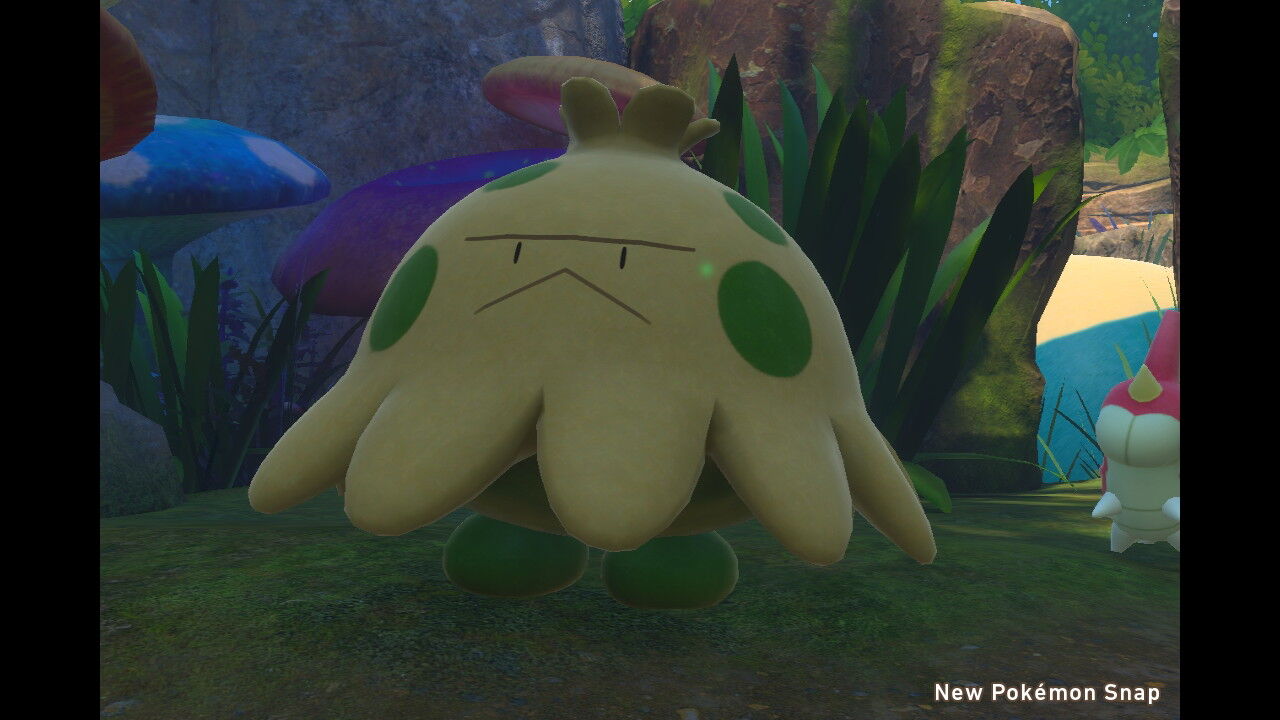 New ポケモンスナップ クレ抜け道 昼 キノココ カビゴン ねこじゃらし New ポケモンスナップ クレ抜け道 昼 キノココ カビゴン ねこじゃらし