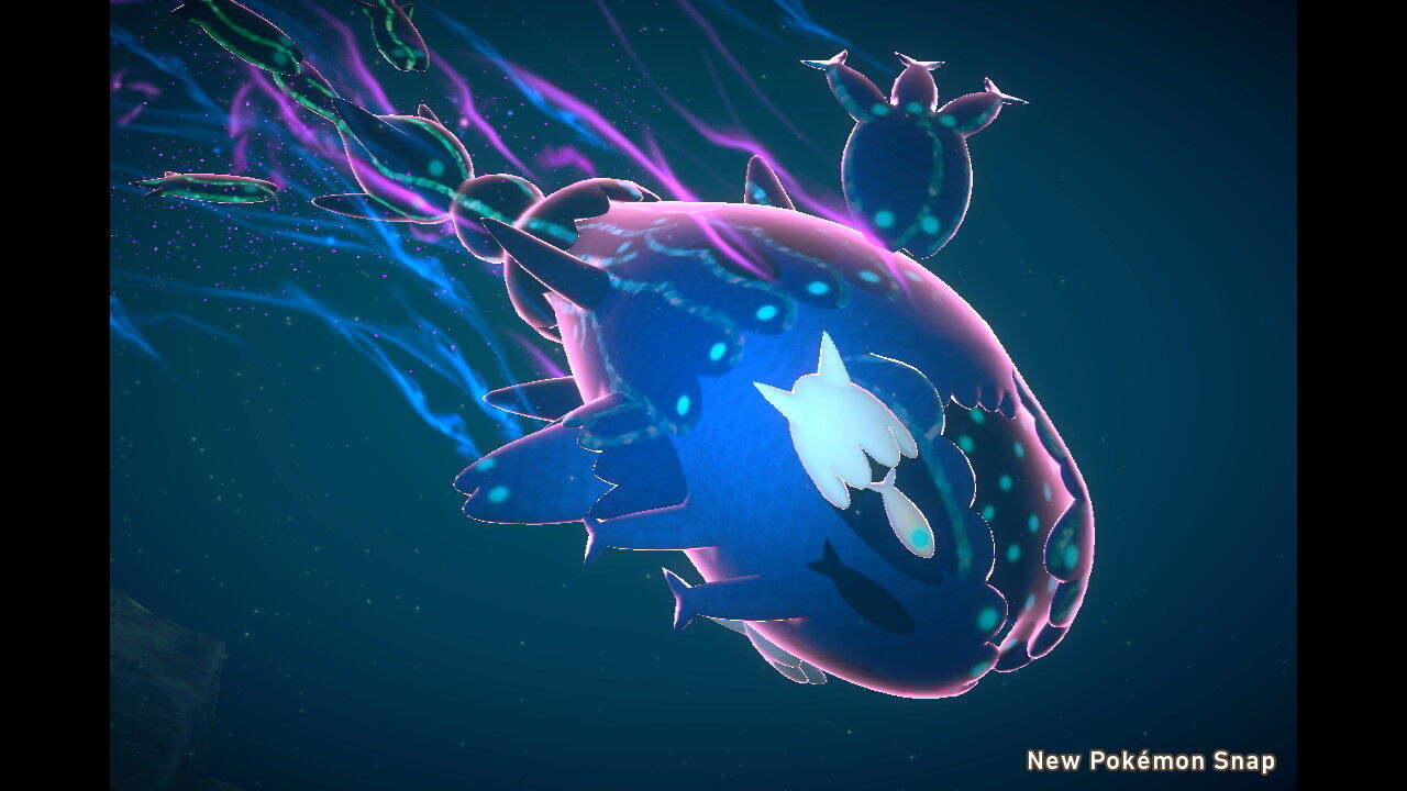New ポケモンスナップ ヨワシ ねこじゃらし