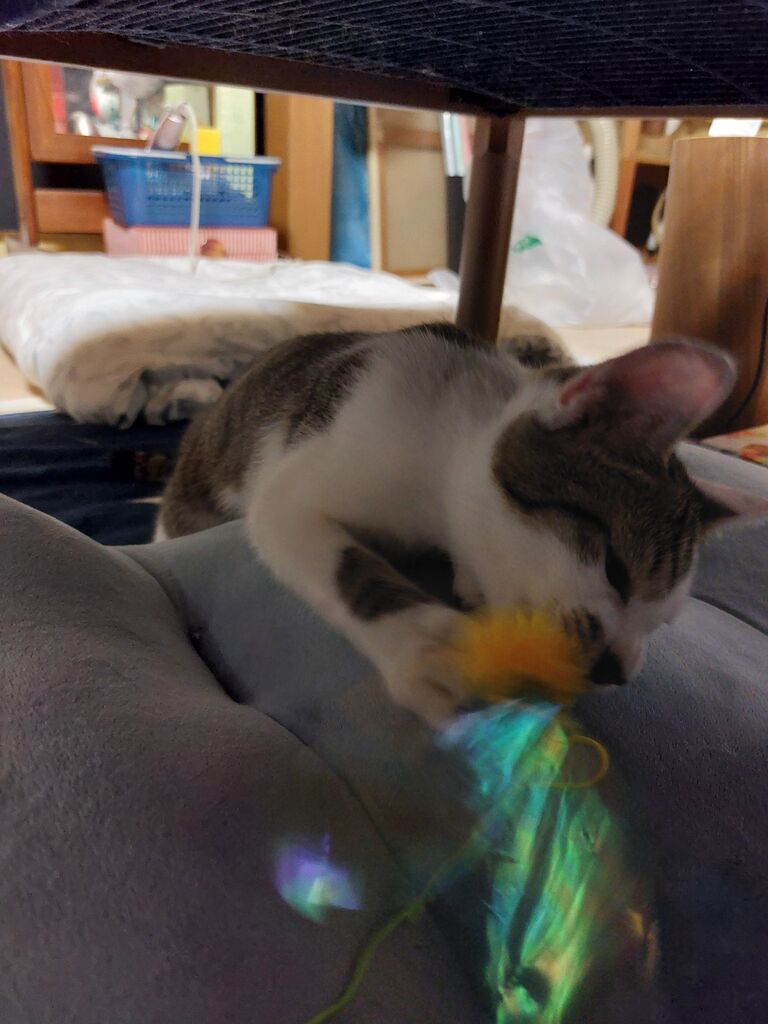 20250713_213529