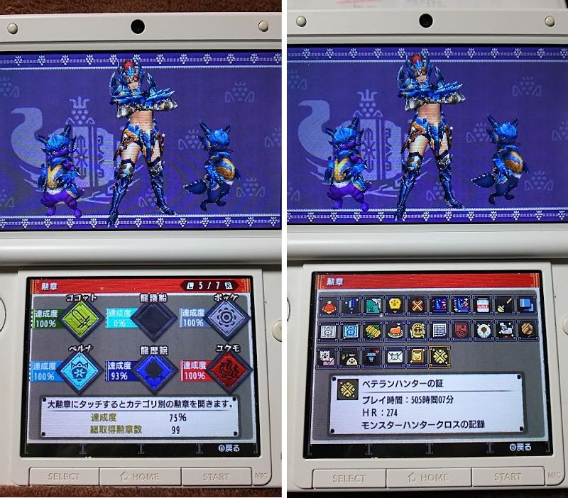 Mhxx日記3 村 7を消化中 ねこじゃらし Mhxx日記3 村 7を消化中 ねこじゃらし