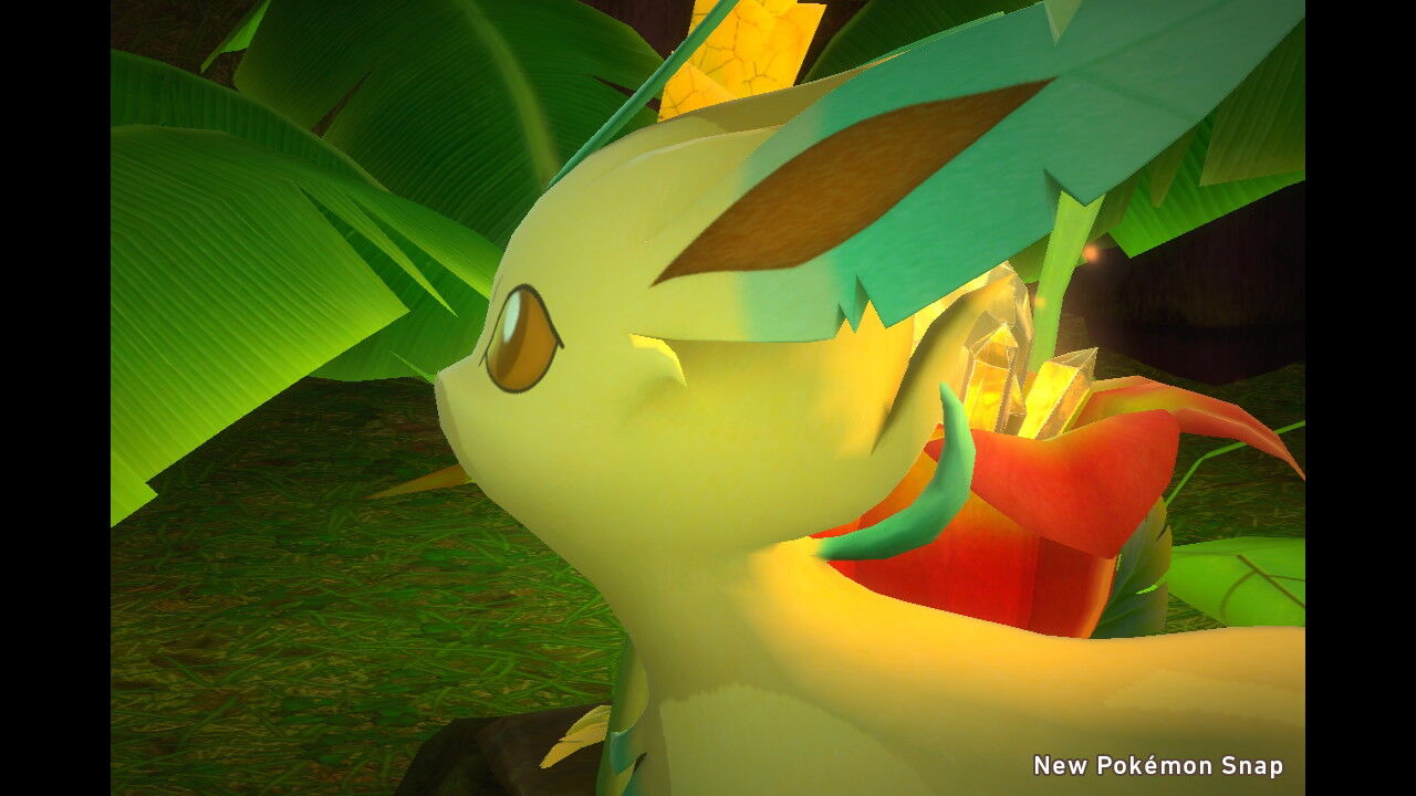 New ポケモンスナップ ツツケラ ヌオー リーフィア アマカジ ねこじゃらし