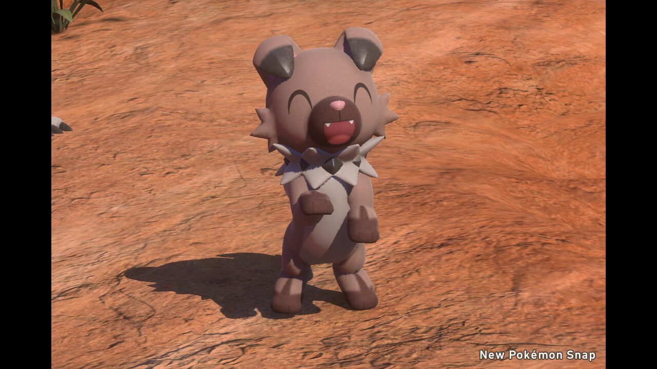 New ポケモンスナップ カラリ荒野 昼 ポカブ ドガース マルノーム エンニュート ねこじゃらし