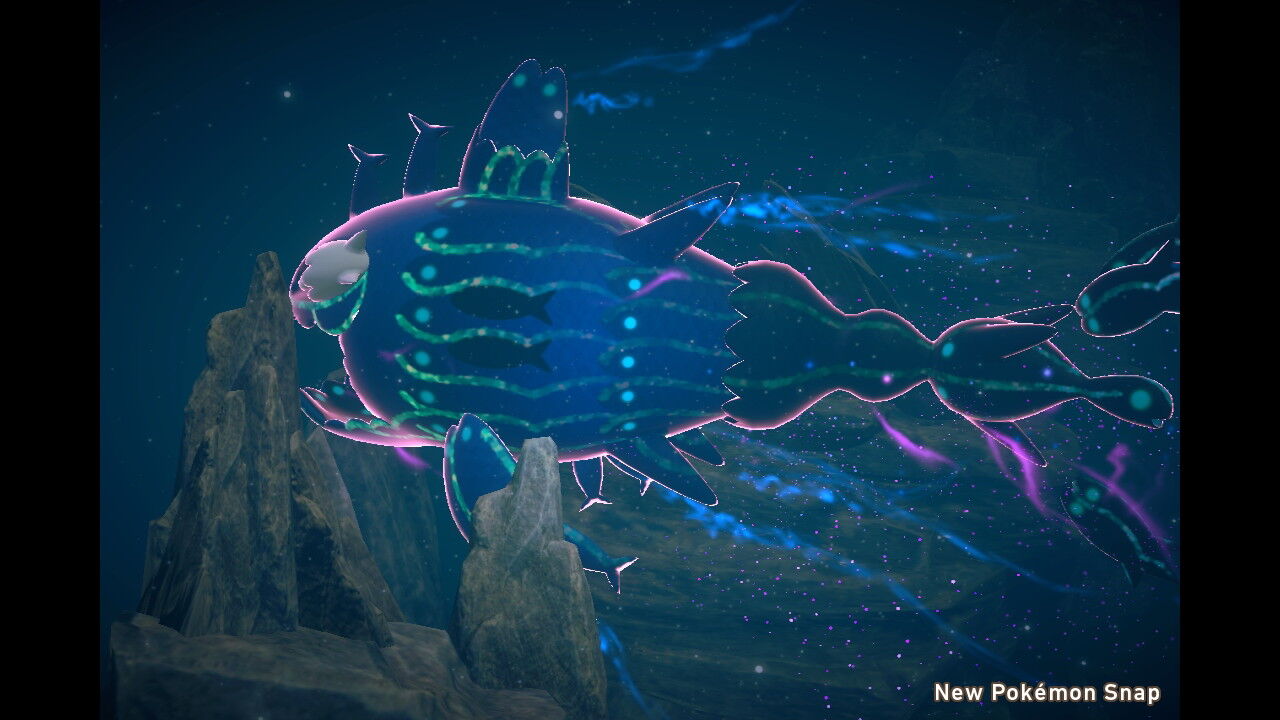 New ポケモンスナップ ヨワシ ねこじゃらし
