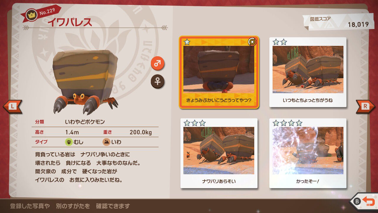New ポケモンスナップ カラリ荒野 夜 イワパレス ディグダ ペンドラー イワンコ ねこじゃらし