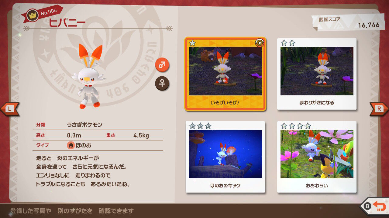 New ポケモンスナップ サルノリ ピチュー ヒバニ ドードーリオ ビッバ モジャンボ ねこじゃらし New ポケモンスナップ サルノリ ピチュー ヒバニ ドードーリオ ビッバ モジャンボ ねこじゃらし