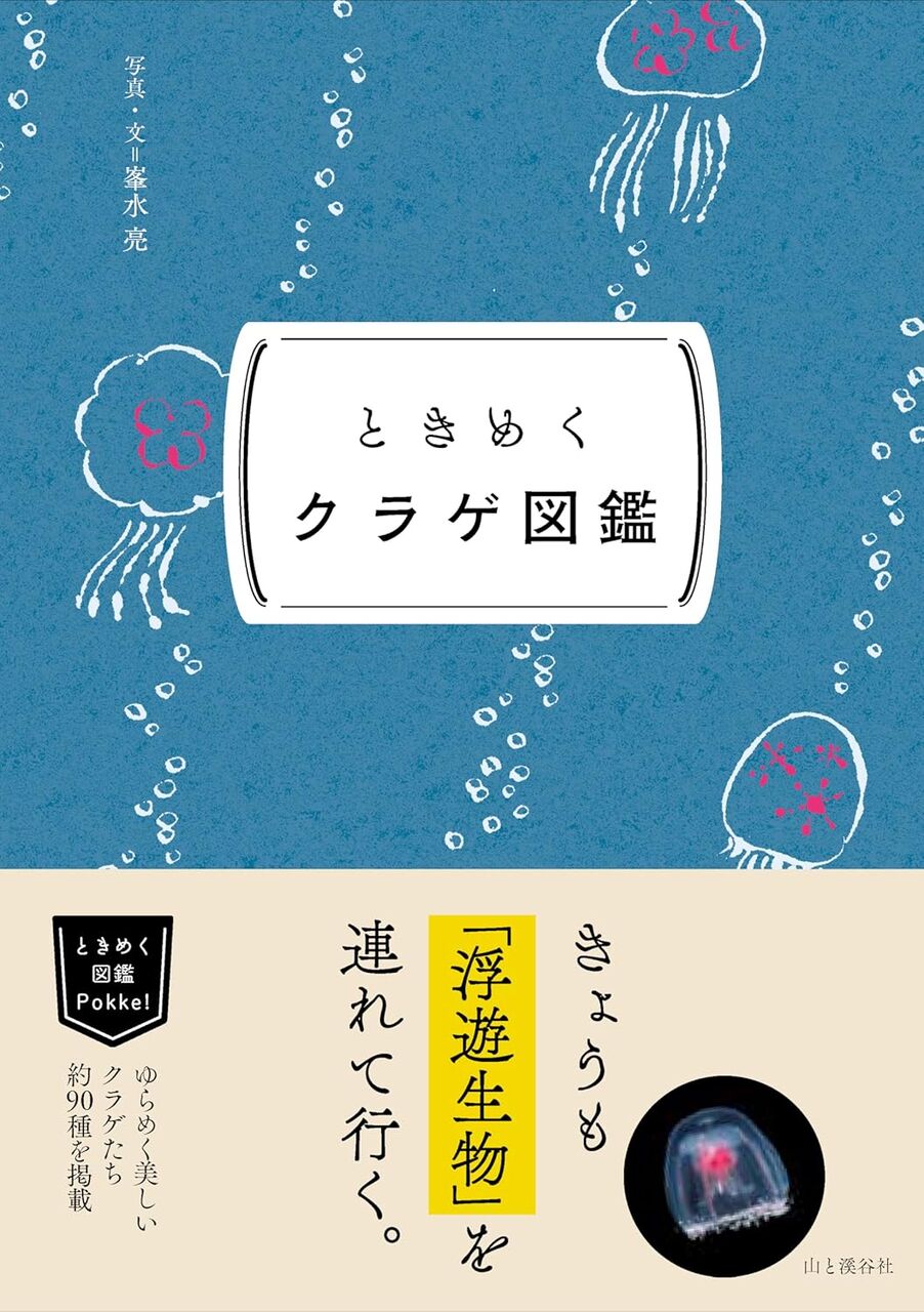 812yda4GqFL._SL1500_