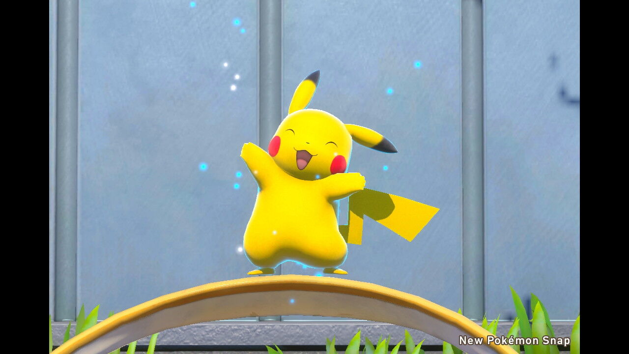 New ポケモンスナップ ジャングル 昼 夜 のマップ完成 ねこじゃらし