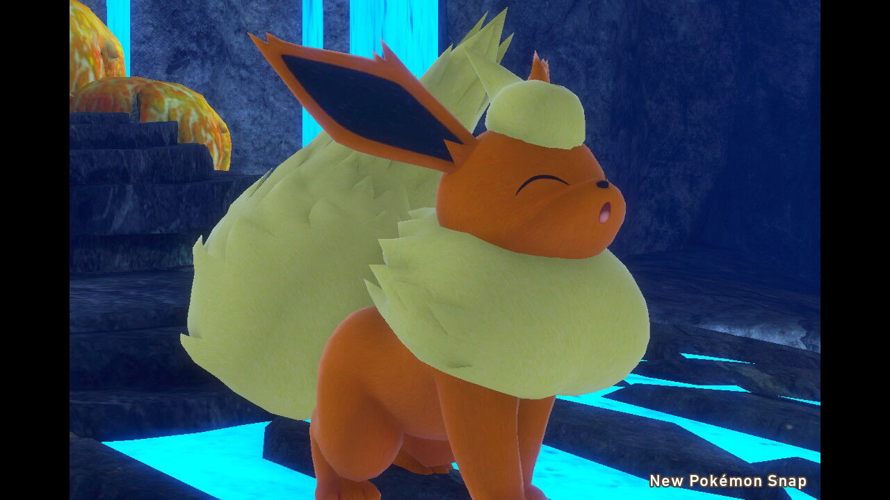 New ポケモンスナップ バクフーン ファイアロー ブースター コータス リザードン ねこじゃらし