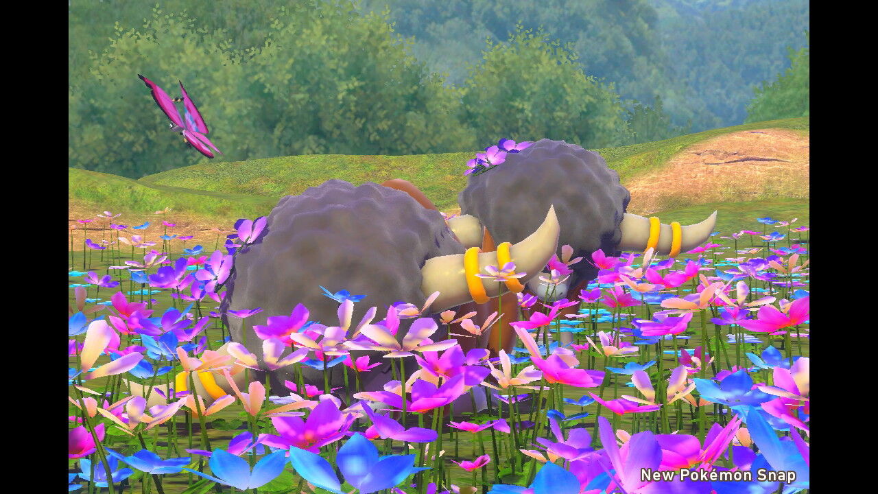 New ポケモンスナップ バッフロン エモンガ ねこじゃらし