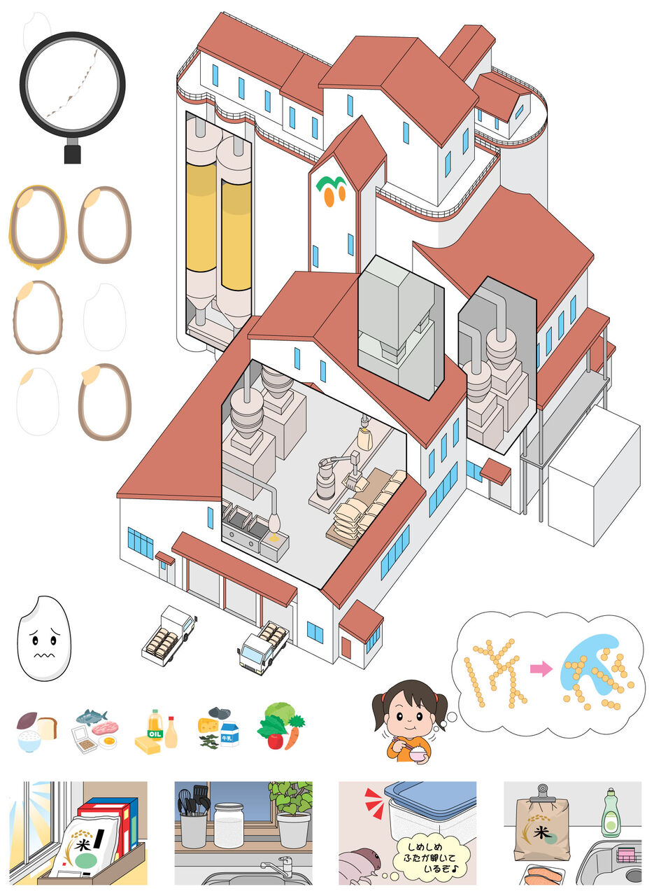 仕事でイラストを担当した本の紹介 ねこじゃらし 仕事でイラストを担当した本の紹介 ねこじゃらし