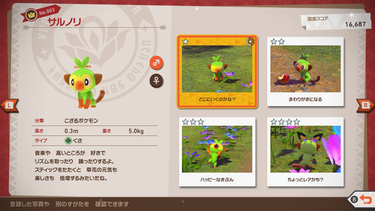 New ポケモンスナップ サルノリ ピチュー ヒバニ ドードーリオ ビッバ モジャンボ ねこじゃらし