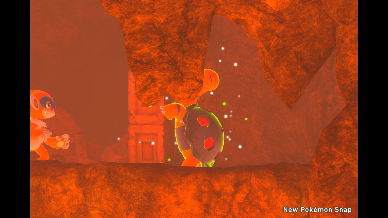 New ポケモンスナップ バクフーン ファイアロー ブースター コータス リザードン ねこじゃらし