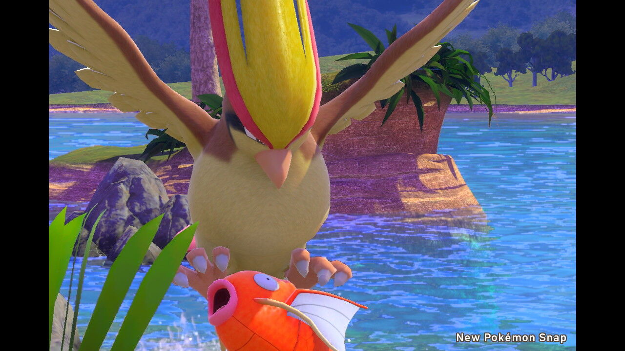 New ポケモンスナップ 公園にいるかわいいポケモン達 ねこじゃらし