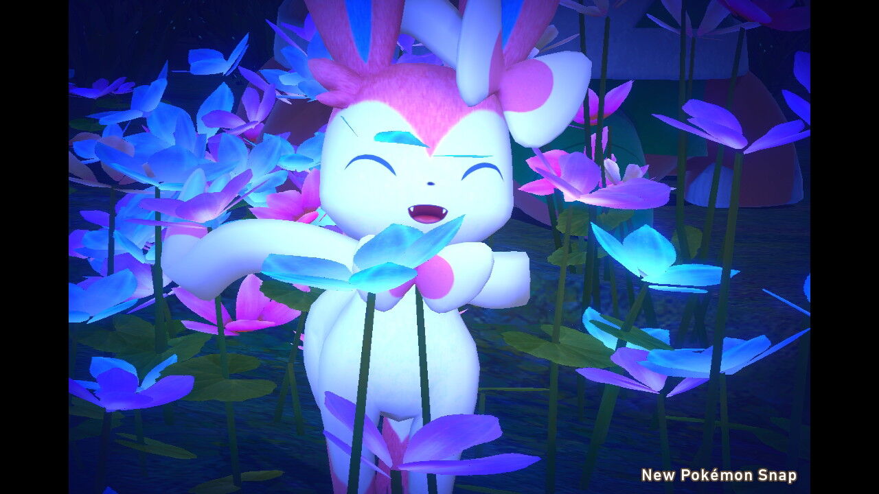 New ポケモンスナップ カイロス ヘラクロス ニンフィア ねこじゃらし