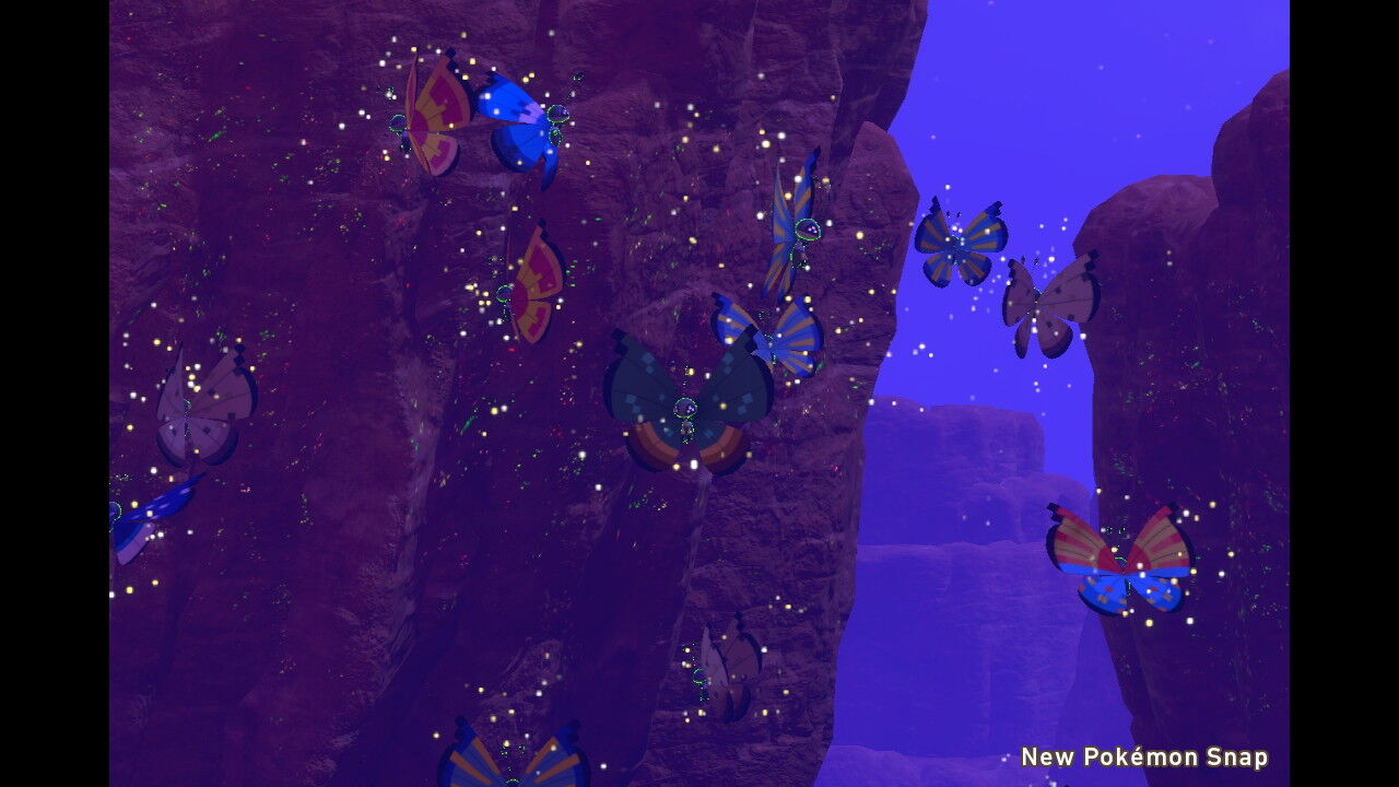 New ポケモンスナップ カラリ荒野 夜 ビビヨンの谷 ねこじゃらし