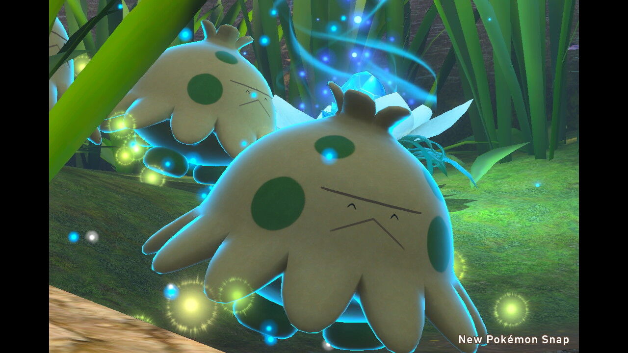 New ポケモンスナップ クレ抜け道 昼 キノココ カビゴン ねこじゃらし New ポケモンスナップ クレ抜け道 昼 キノココ カビゴン ねこじゃらし