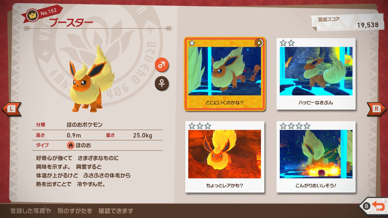 New ポケモンスナップ バクフーン ファイアロー ブースター コータス リザードン ねこじゃらし