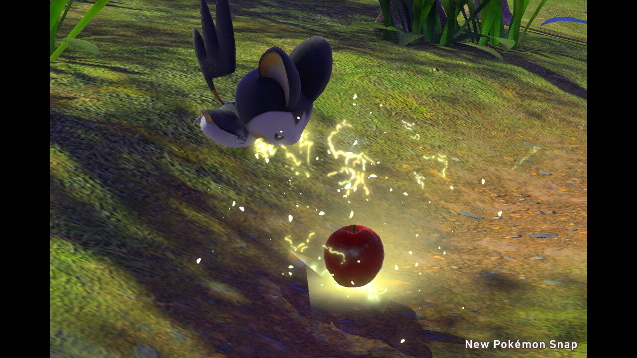 New ポケモンスナップ バッフロン エモンガ ねこじゃらし