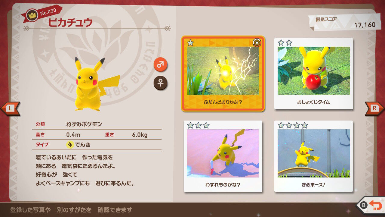 New ポケモンスナップ ホルビー コラッタ ピカチュウ タブンネ ねこじゃらし