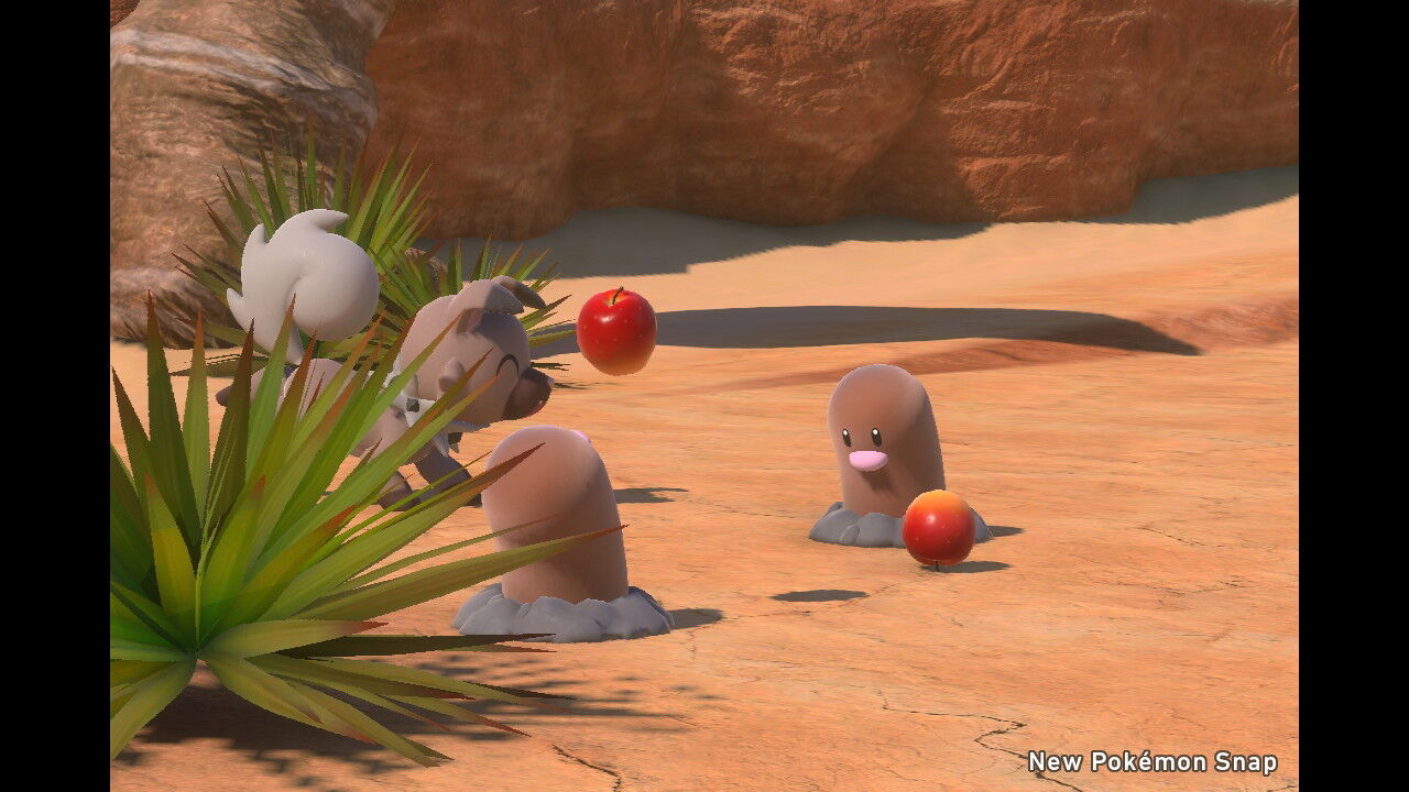 New ポケモンスナップ カラリ荒野 夜 イワパレス ディグダ ペンドラー イワンコ ねこじゃらし