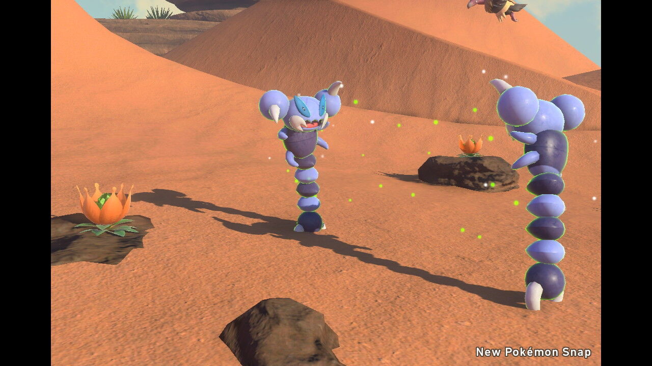 New ポケモンスナップ スコルピ サボネア アチャモ ナックラー エレザード ねこじゃらし
