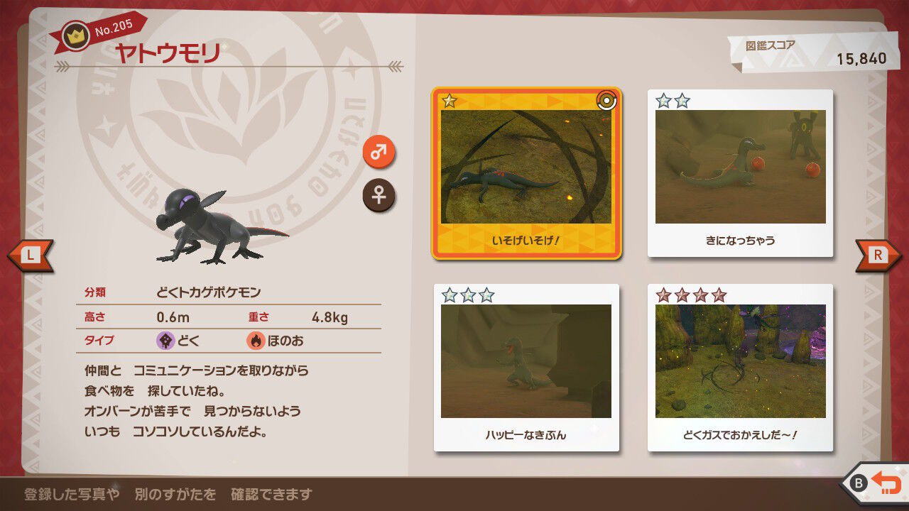 ヤトウモリ Japaneseclass Jp