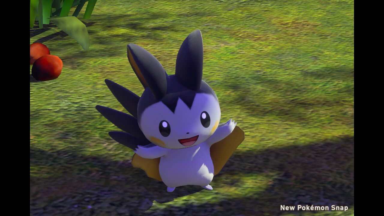 New ポケモンスナップ バッフロン エモンガ ねこじゃらし