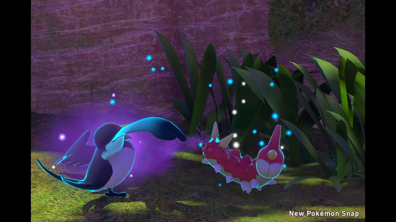 New ポケモンスナップ スバメ ケムッソ コイキング ねこじゃらし New ポケモンスナップ スバメ ケムッソ コイキング ねこじゃらし