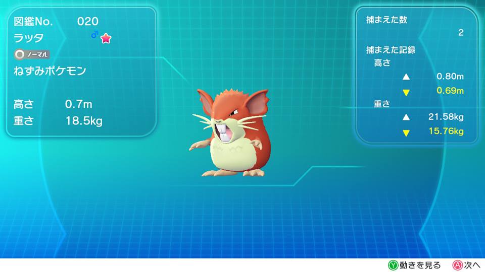ピカブイ 色違いラッタ 捕まえた ねこじゃらし ピカブイ 色違いラッタ 捕まえた ねこじゃらし