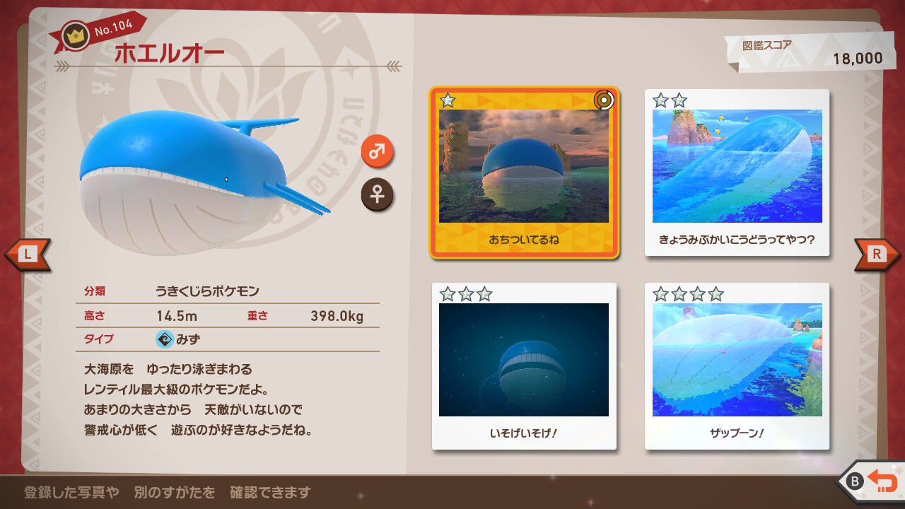 New ポケモンスナップ キャモメ ホエルオー ペリッパー ナマコブシ ホエルコ ねこじゃらし