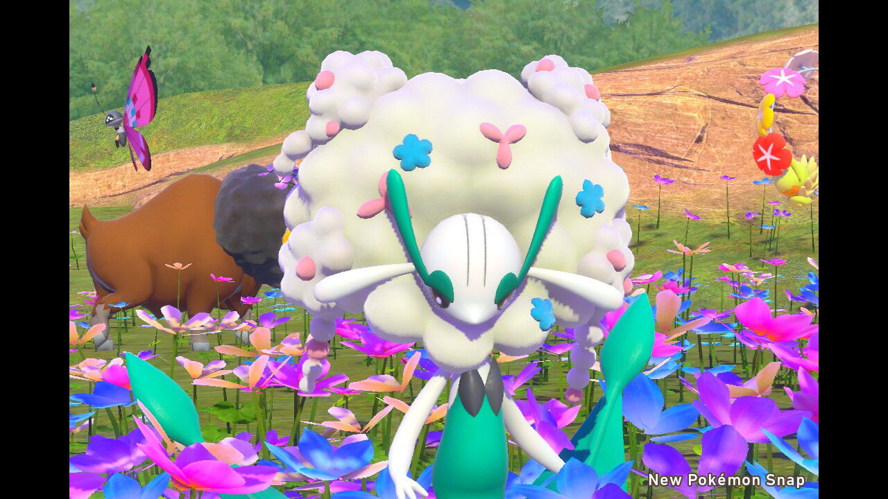 New ポケモンスナップ フラージェスの色 白のフラージェス ねこじゃらし