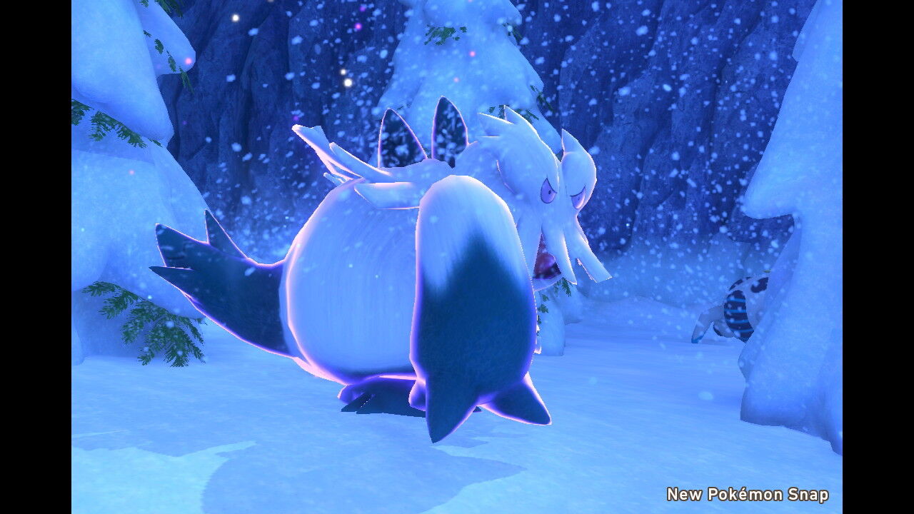 New ポケモンスナップ グラエナ ユキメノコ ユキノオー ユキハミ モスノウ ユキワラシ ねこじゃらし New ポケモンスナップ グラエナ ユキメノコ ユキノオー ユキハミ モスノウ ユキワラシ ねこじゃらし