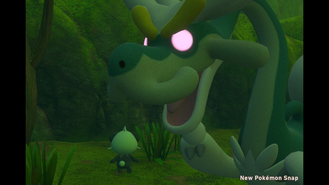 New ポケモンスナップ カジッチュ ジジーロン ダーテング ハスボー サーナイト ねこじゃらし New ポケモンスナップ カジッチュ ジジーロン ダーテング ハスボー サーナイト ねこじゃらし