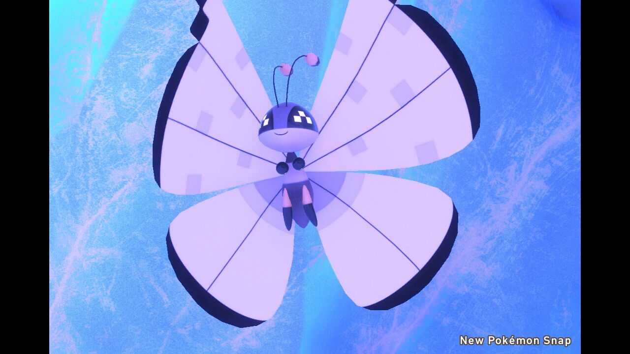 New ポケモンスナップ ビビヨンの模様 種類 ねこじゃらし