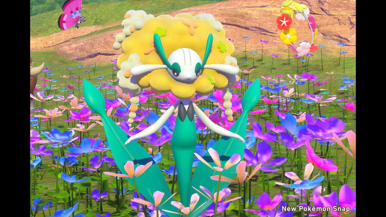 New ポケモンスナップ フラージェスの色 白のフラージェス ねこじゃらし New ポケモンスナップ フラージェスの色 白のフラージェス ねこじゃらし