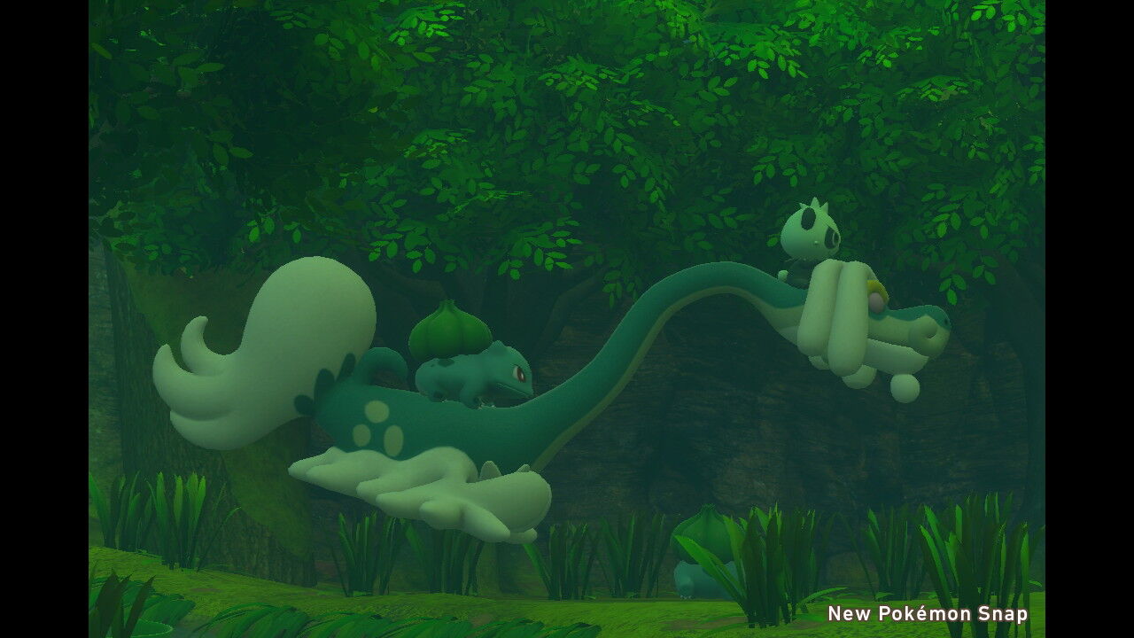 New ポケモンスナップ カジッチュ ジジーロン ダーテング ハスボー サーナイト ねこじゃらし New ポケモンスナップ カジッチュ ジジーロン ダーテング ハスボー サーナイト ねこじゃらし
