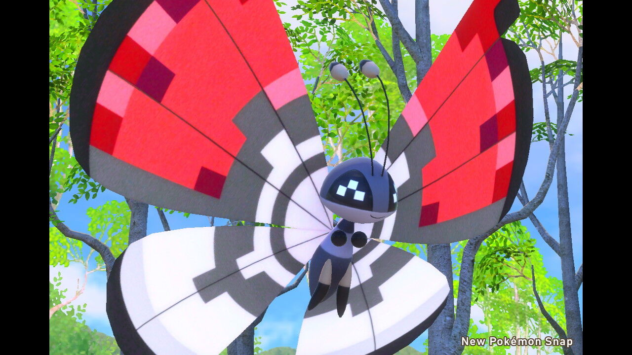 New ポケモンスナップ ビビヨンの模様 種類 ねこじゃらし