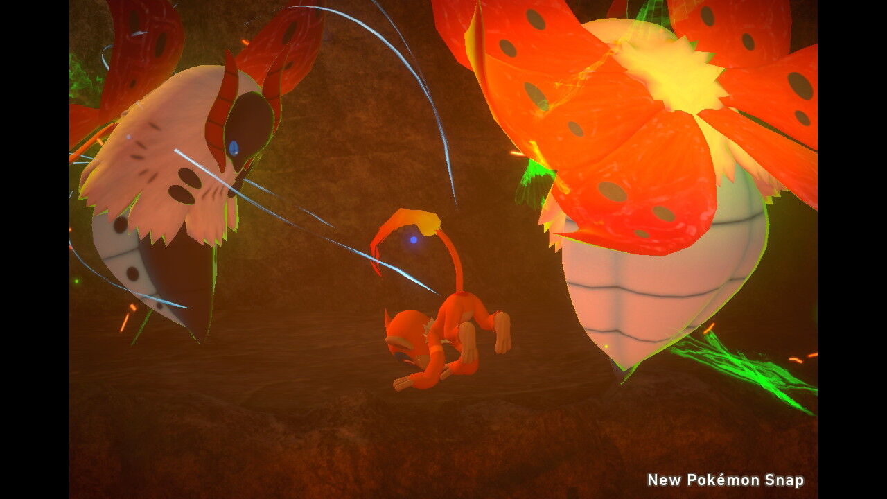 New ポケモンスナップ ウルガモス ねこじゃらし New ポケモンスナップ ウルガモス ねこじゃらし