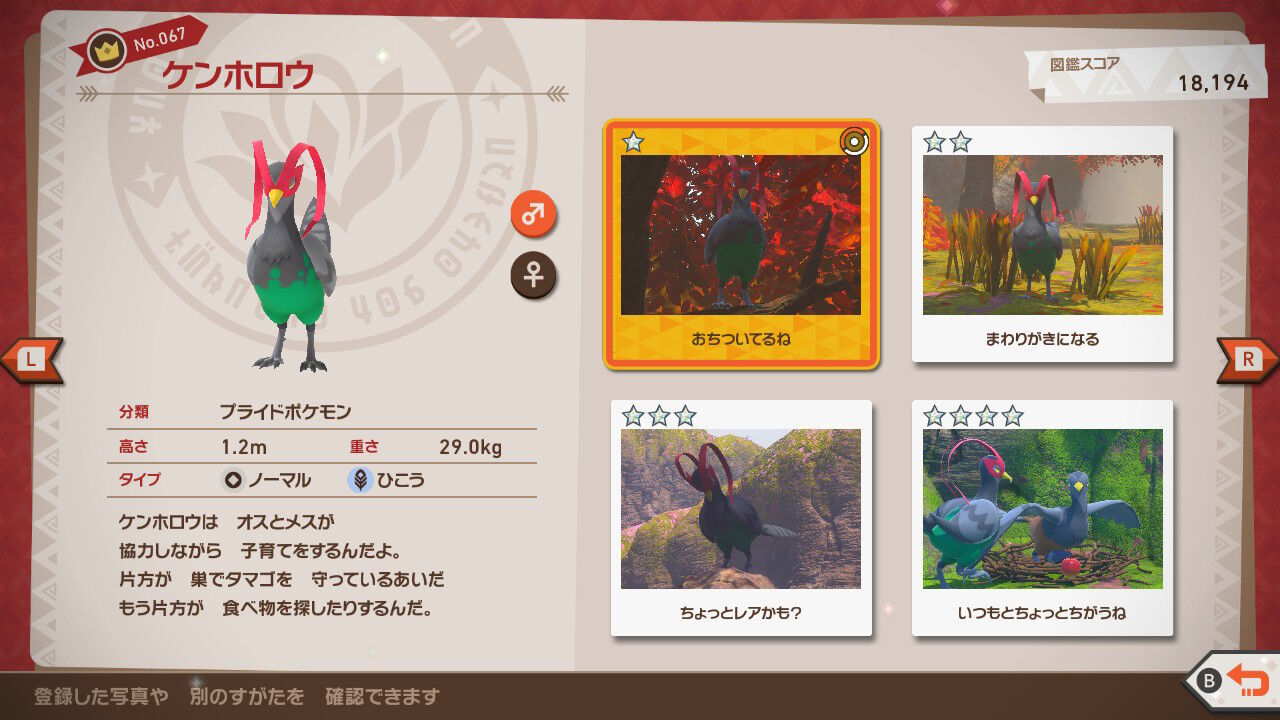 New ポケモンスナップ エーフィ カクレオン ジャローダ セレビィ ケンホロウ ねこじゃらし