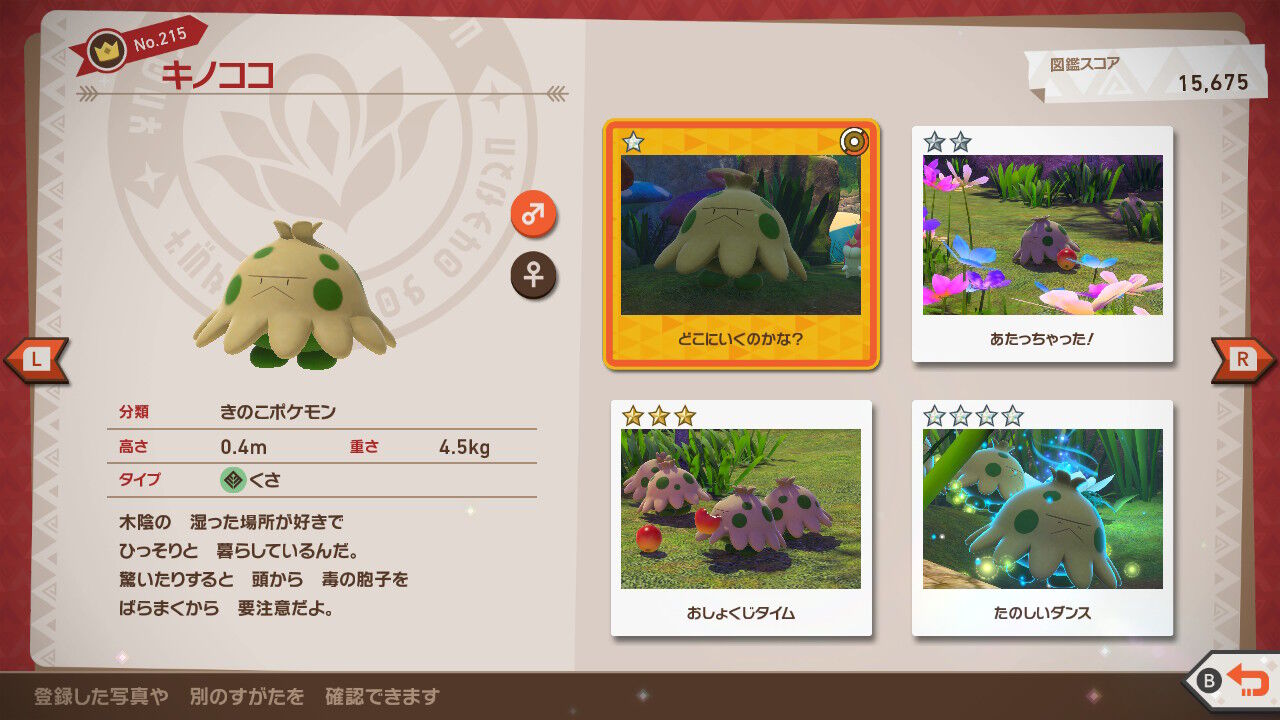 New ポケモンスナップ クレ抜け道 昼 キノココ カビゴン ねこじゃらし