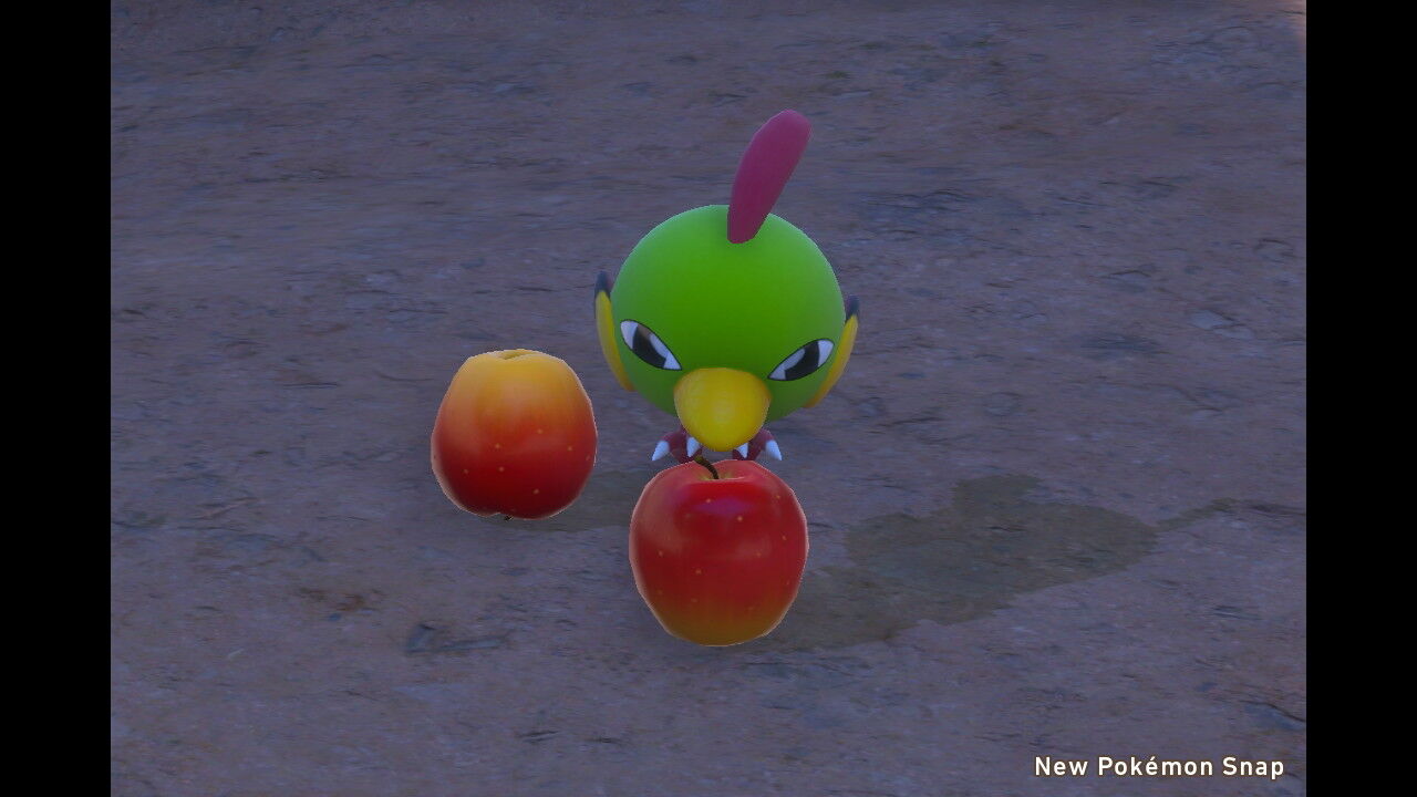New ポケモンスナップ アブソル オンバーン ネイティ ブラッキー ジラーチ ねこじゃらし New ポケモンスナップ アブソル オンバーン ネイティ ブラッキー ジラーチ ねこじゃらし