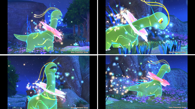 New ポケモンスナップ はじめてのイルミナスポット ねこじゃらし New ポケモンスナップ はじめてのイルミナスポット ねこじゃらし