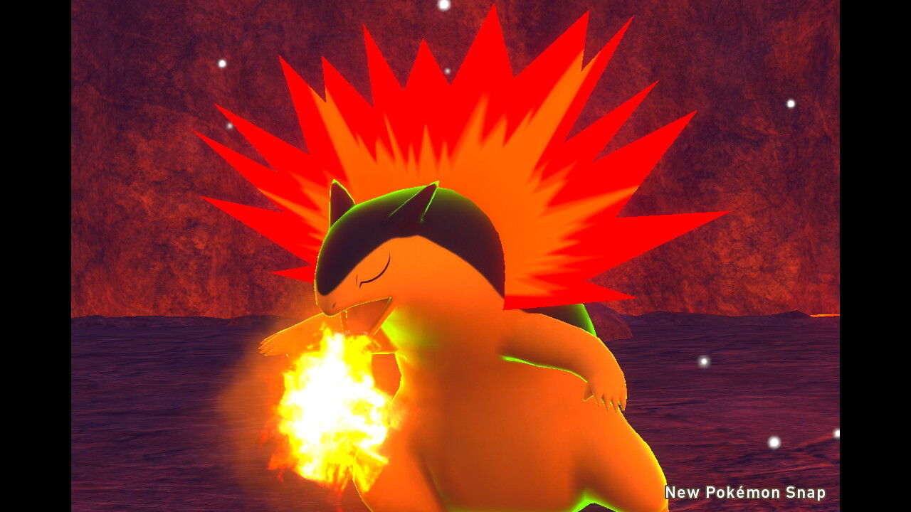 New ポケモンスナップ バクフーン ファイアロー ブースター コータス リザードン ねこじゃらし