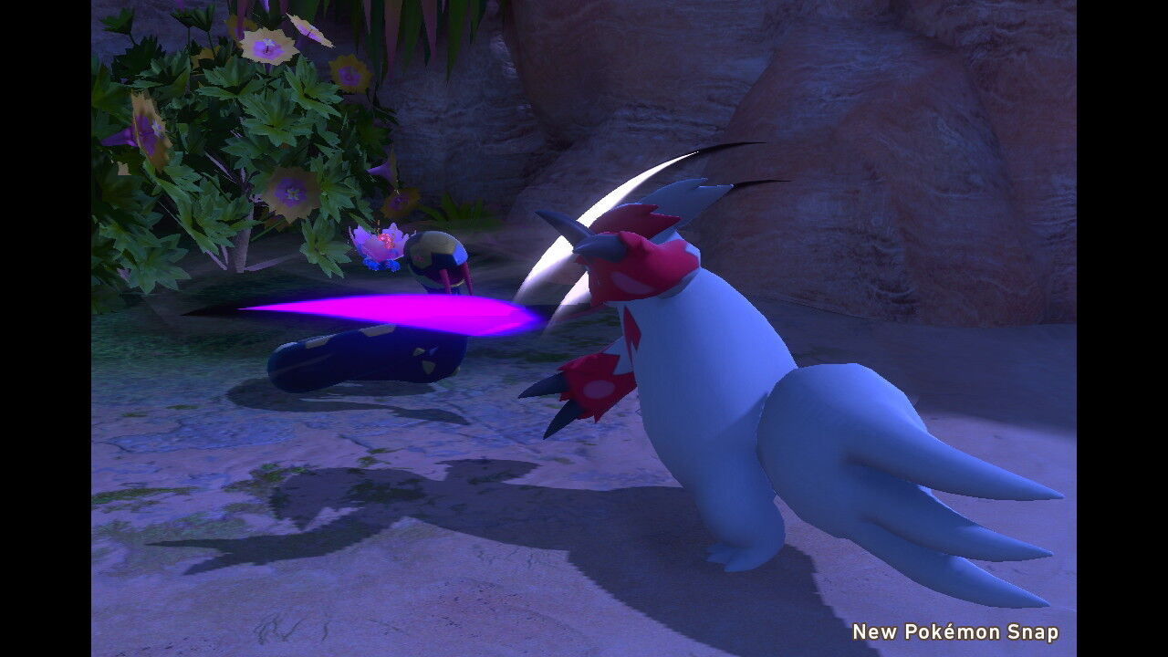New ポケモンスナップ フワライド ケイコウオ ハブネーク ザングース オクタン ねこじゃらし
