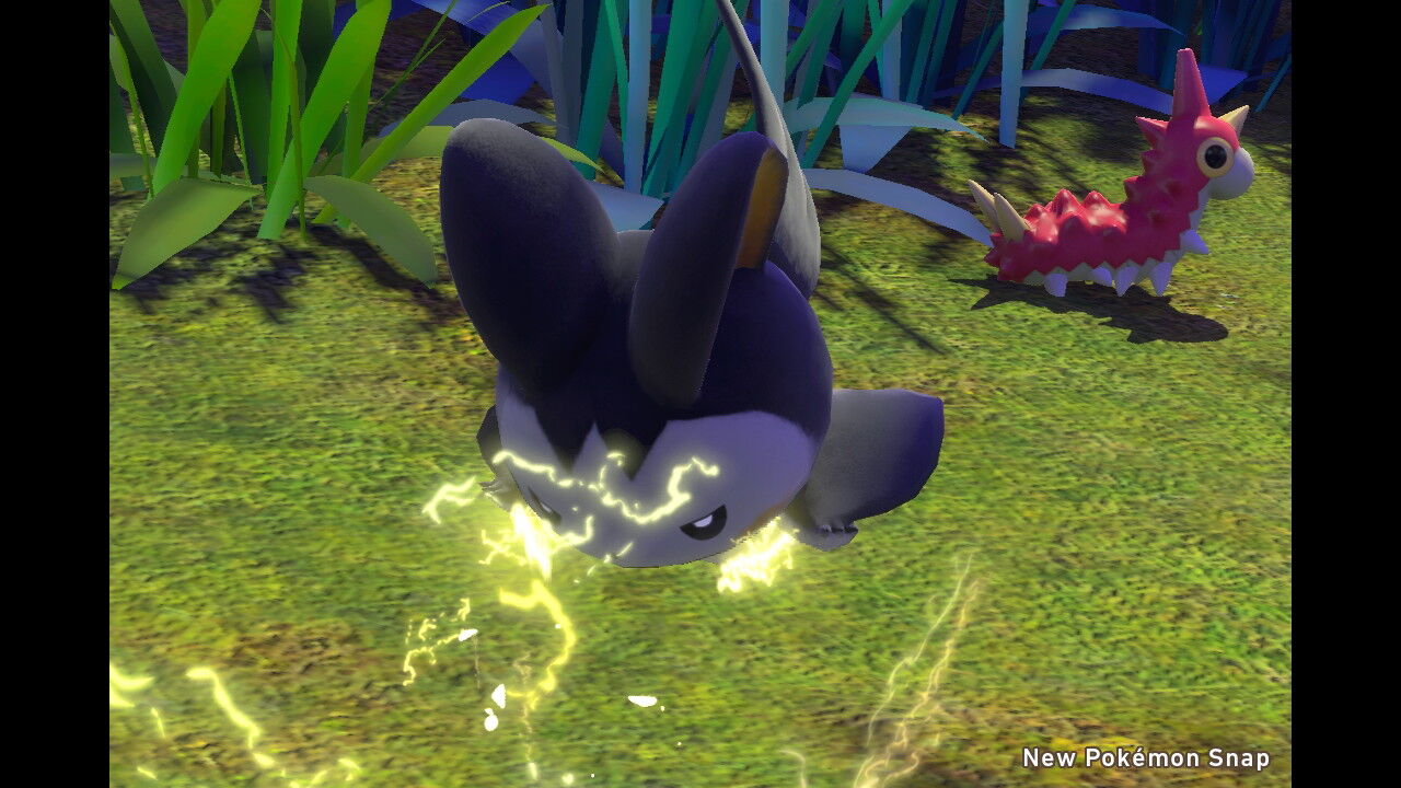 New ポケモンスナップ 公園にいるかわいいポケモン達 ねこじゃらし