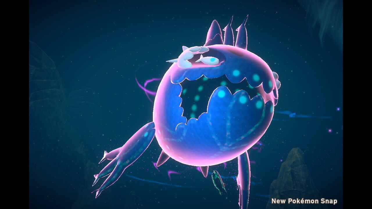 New ポケモンスナップ ヨワシ ねこじゃらし