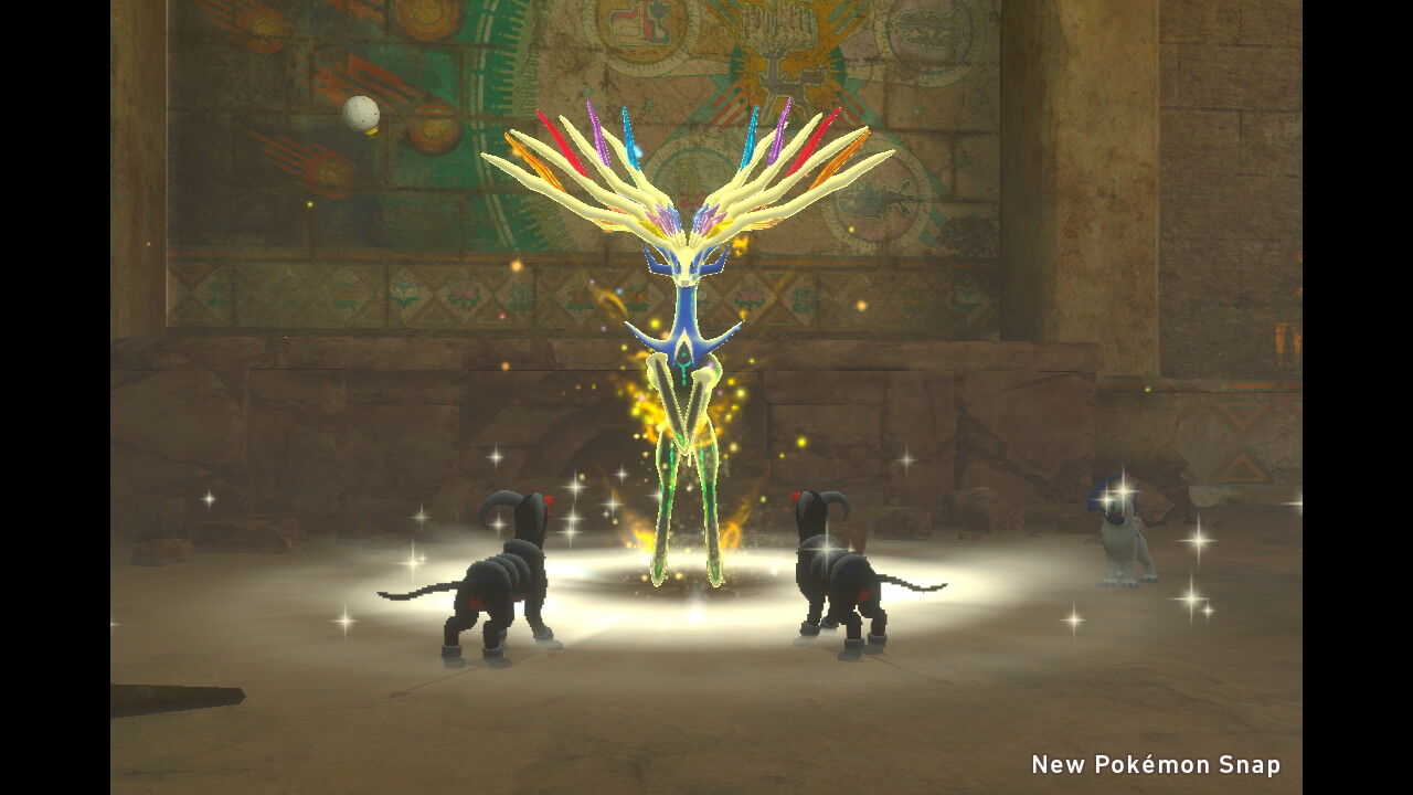 New ポケモンスナップ ゼルネアス ねこじゃらし