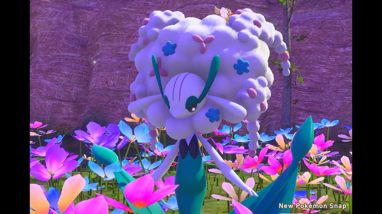 New ポケモンスナップ フラージェスの色 白のフラージェス ねこじゃらし New ポケモンスナップ フラージェスの色 白のフラージェス ねこじゃらし