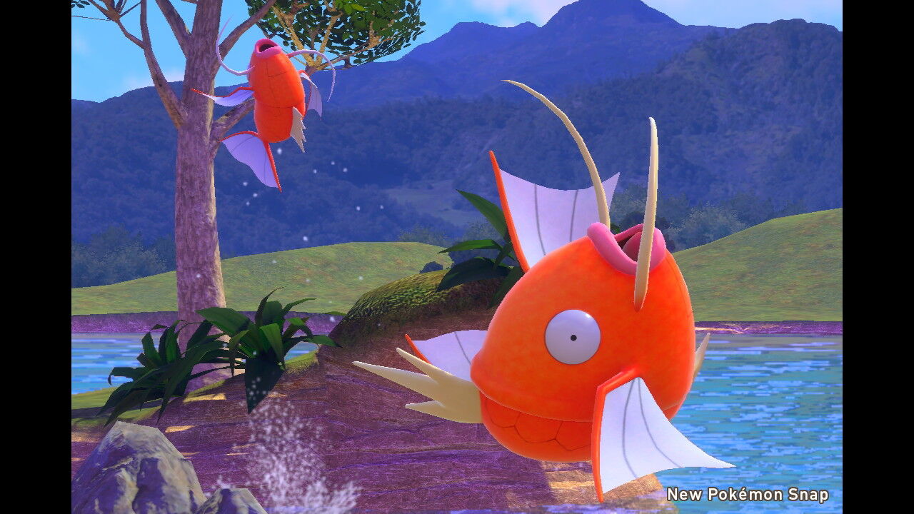 New ポケモンスナップ スバメ ケムッソ コイキング ねこじゃらし New ポケモンスナップ スバメ ケムッソ コイキング ねこじゃらし